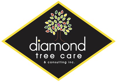 Diamond Tree Care