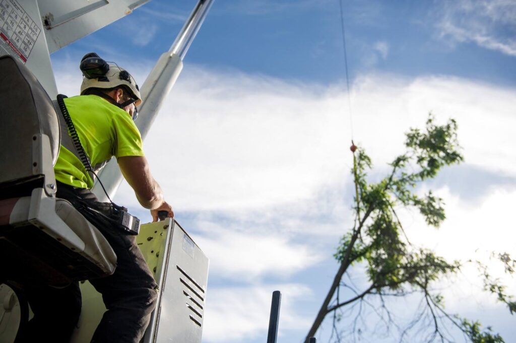 Crane Operator pulling tree