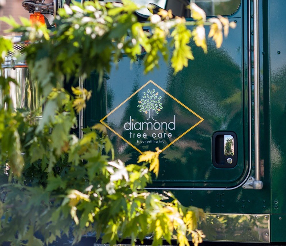 Diamond Tree Care Truck