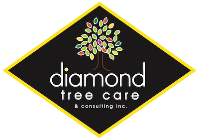 Diamond Tree Care Logo